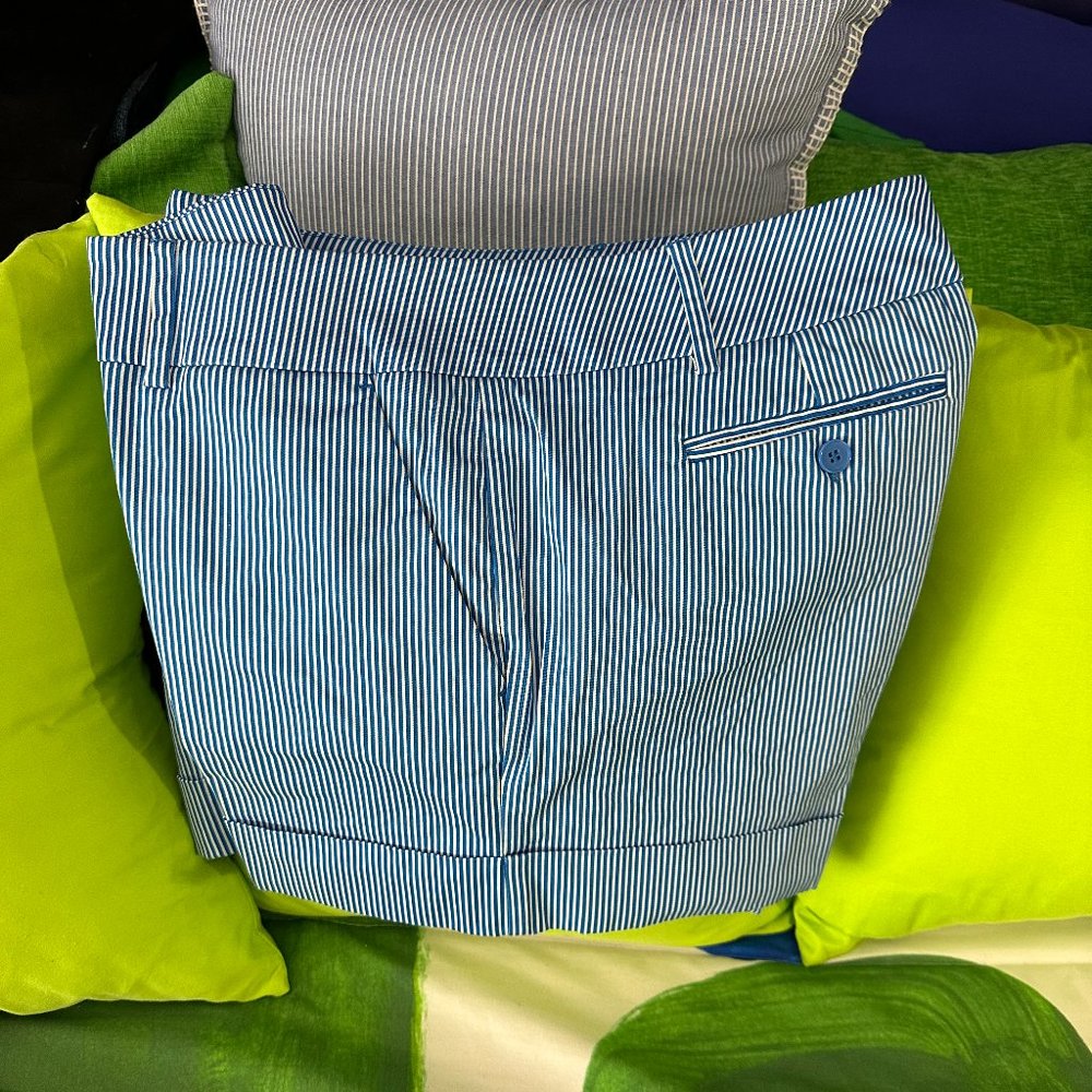 EUC - Women's Blue & White Pin Striped New York & Company 4" Shorts - Size 12